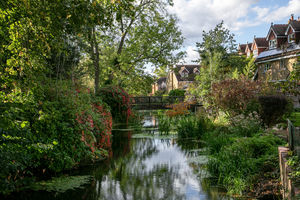 River Mole- click for photo gallery